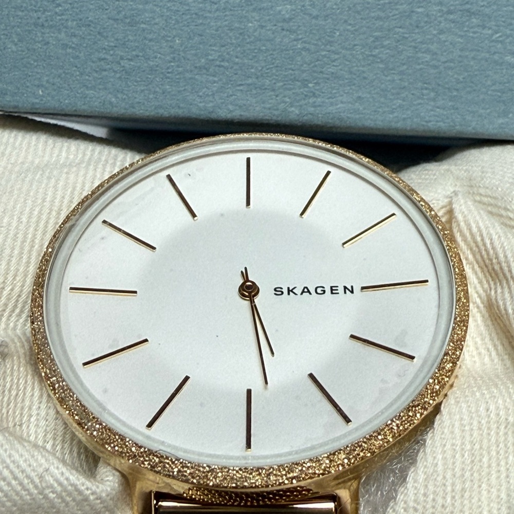 Skagen Timepiece with Gold Accents